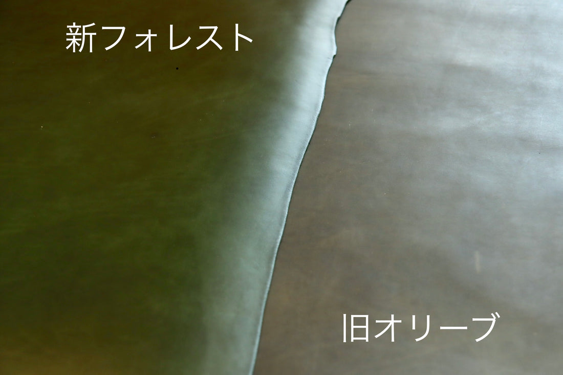 【重要なお知らせ】定番カラー〈オリーブ〉が廃番、新色〈フォレスト〉が登場します
